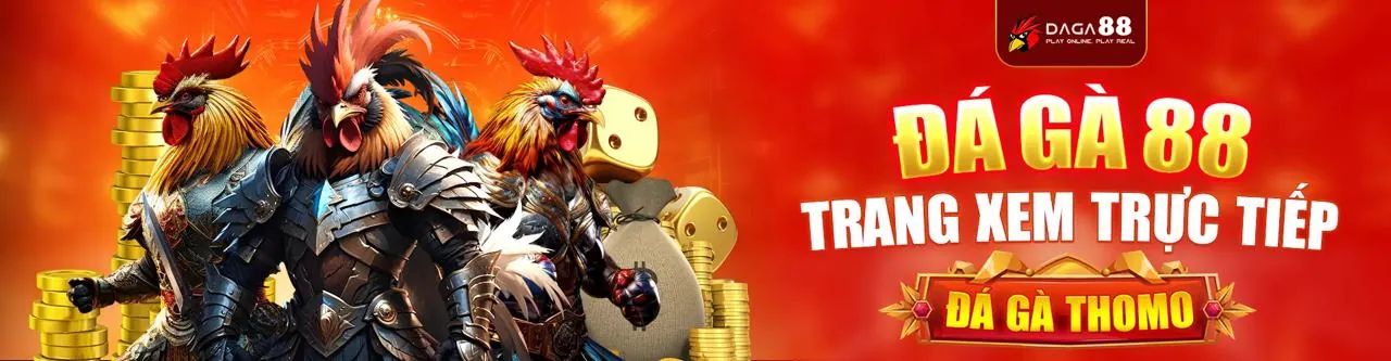 Đá gà kịch tính tại u888vip0
