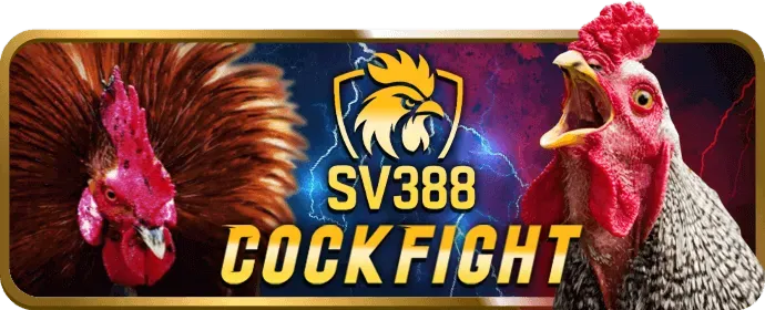 Game thủ đang chơi eSports trên máy tính, biểu tượng cá cược thể thao điện tử tại u888vip0 link vào